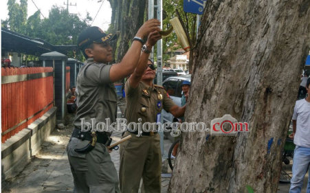 Razia, Satpol Tertibkan Meteran dan Saklar di Pohon
